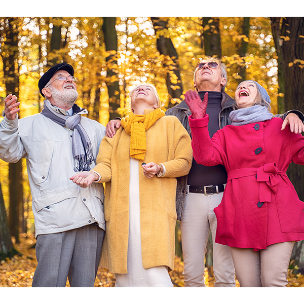  Senior group of friends on a fall nature walk surrounded by trees with golden leaves. 